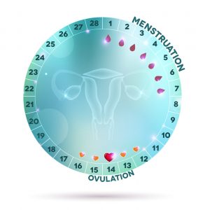graphic of menstrual cycle days