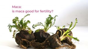 maca image is maca good for fertility
