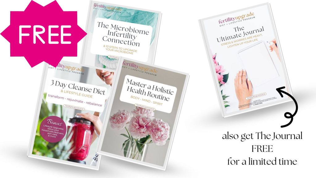 FREE 3 Day Fertility Cleanse Diet & Lifestyle Upgrade, Master a Holistic Health Routine, The Microbiome Infertility Connection AND also for a limited time you can get The Journal for FREE