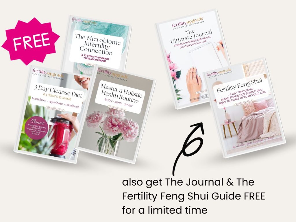 photo of the free fertility feng shui guide, the fertility journal and more free fertility guides