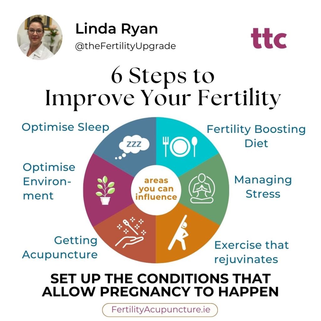 6 steps to improve fertility