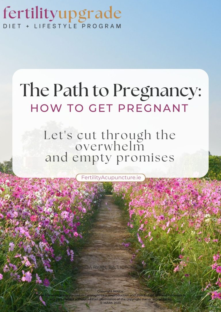 Path to Pregnancy Guide