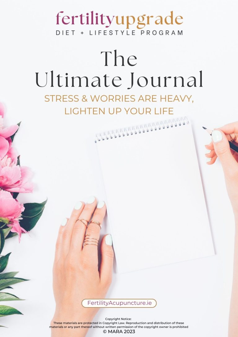 The Ultimate Upgrade Journal